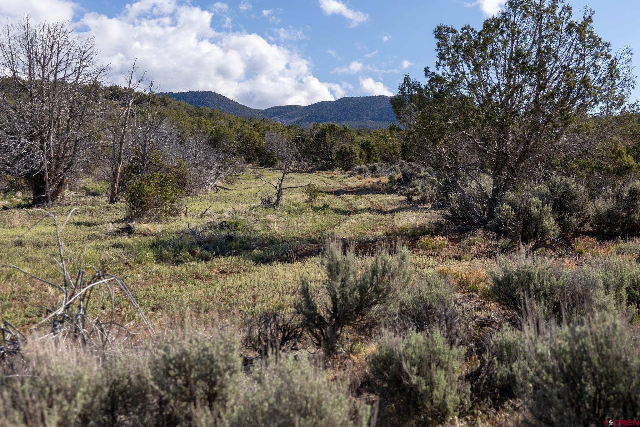 Tbd Powell Mesa Road Hotchkiss, CO 81419 - Photo 24 of 29 a view of a dry yard with green space
