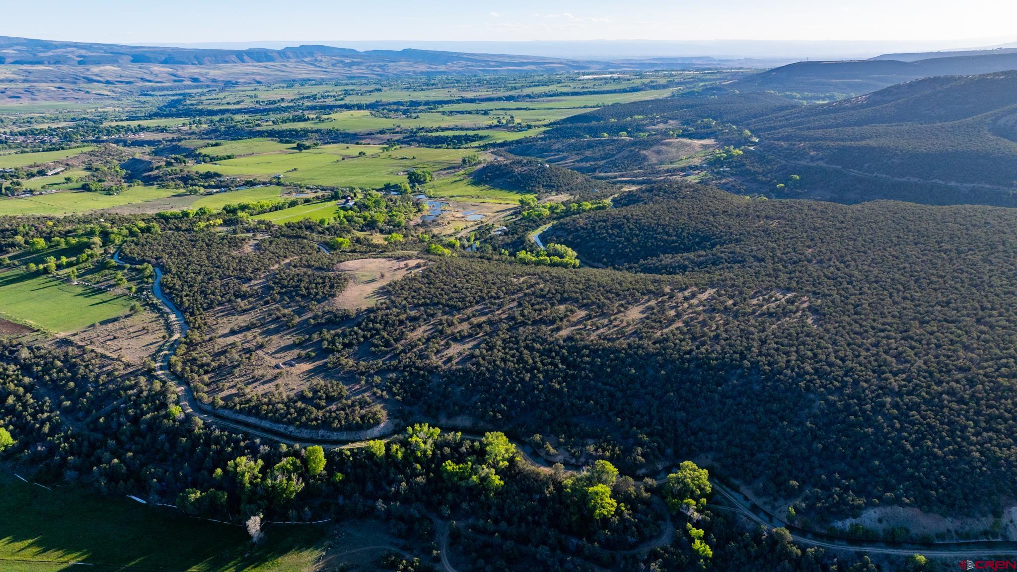 Tbd Powell Mesa Road Hotchkiss, CO 81419 - Photo 8 of 29 a view of a garden with an outdoor space