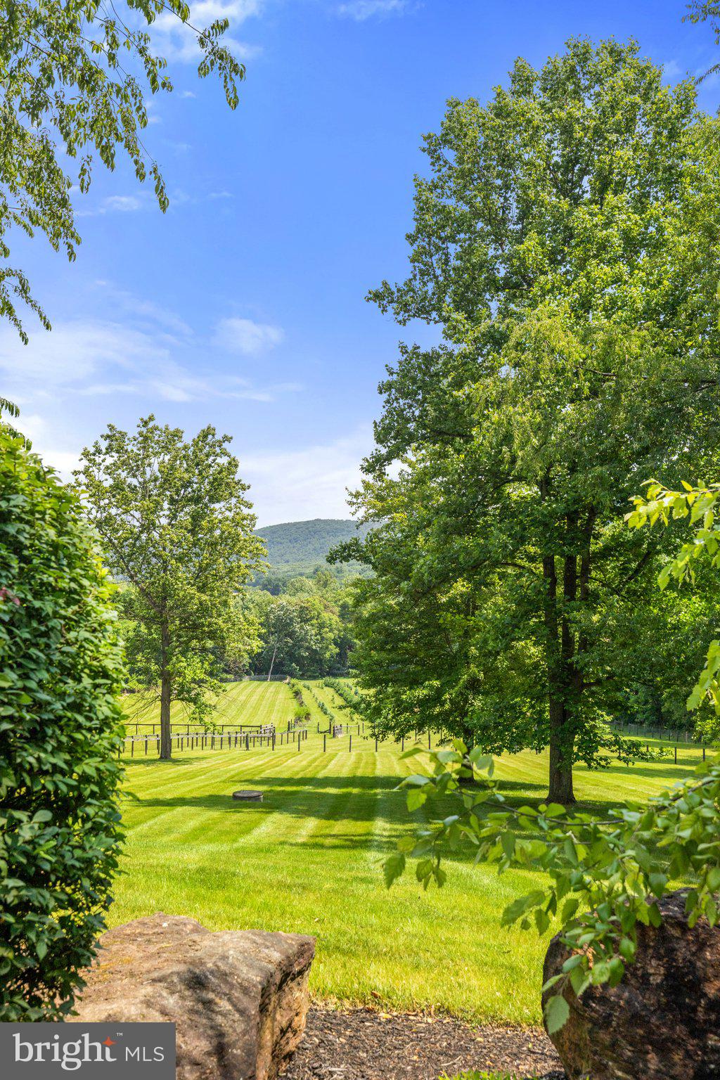 12904 Sagle Road Purcellville, VA 20132 - Photo 101 of 135 Views from deck, main primary suite & family rooms