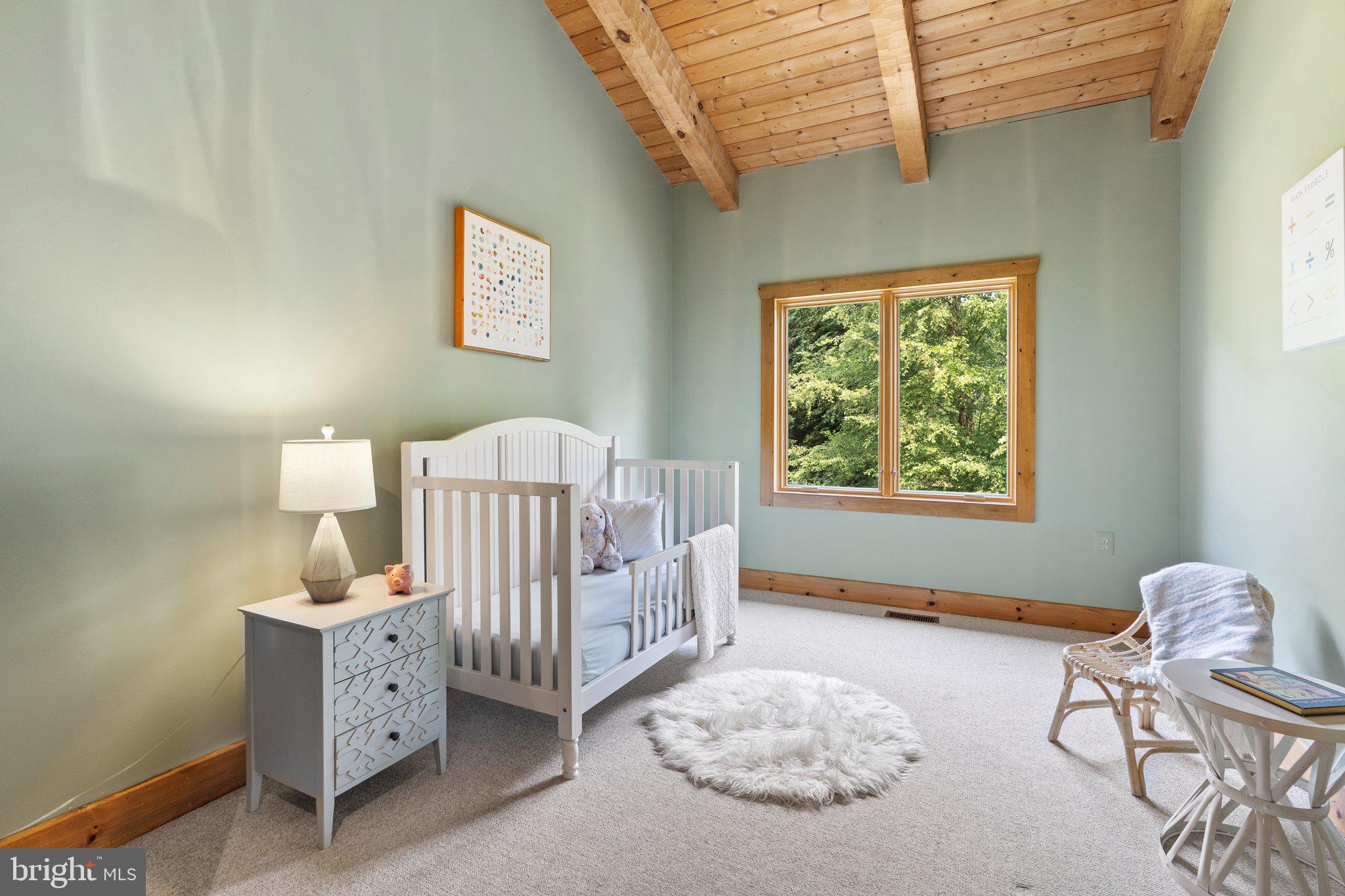12904 Sagle Road Purcellville, VA 20132 - Photo 77 of 135 Upper level bedroom w/ 2 hall closets