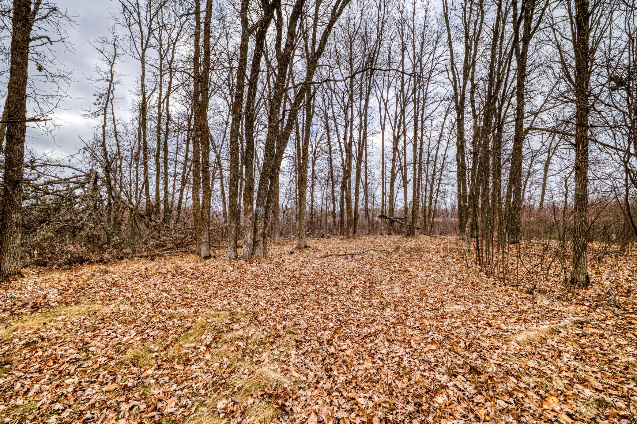 1336 Rodeo Drive Bemidji, MN 56601 - Photo 56 of 65