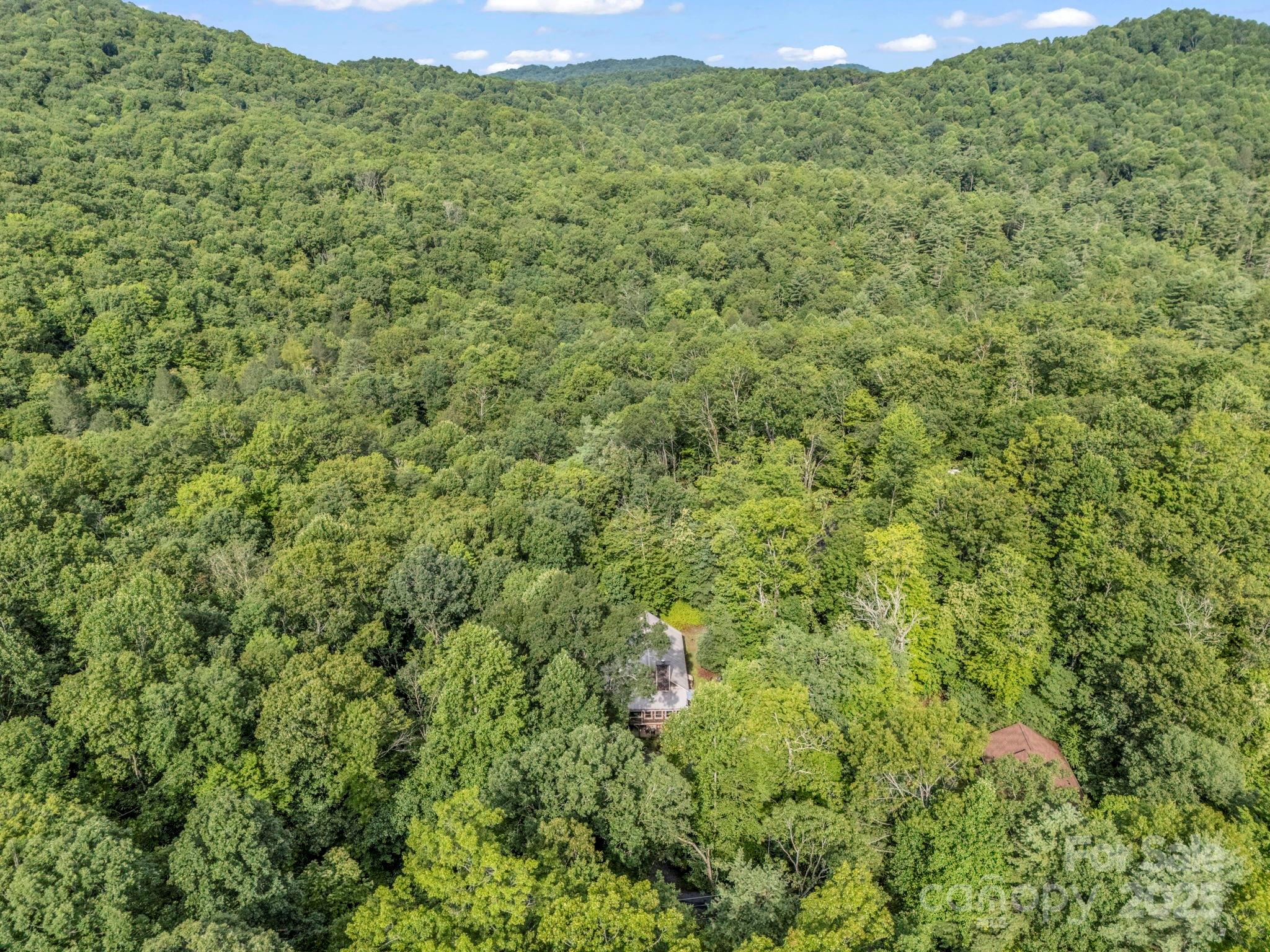 656 Cardinal Road Brevard, NC 28712 - Photo 37 of 37 Gallery Image 37