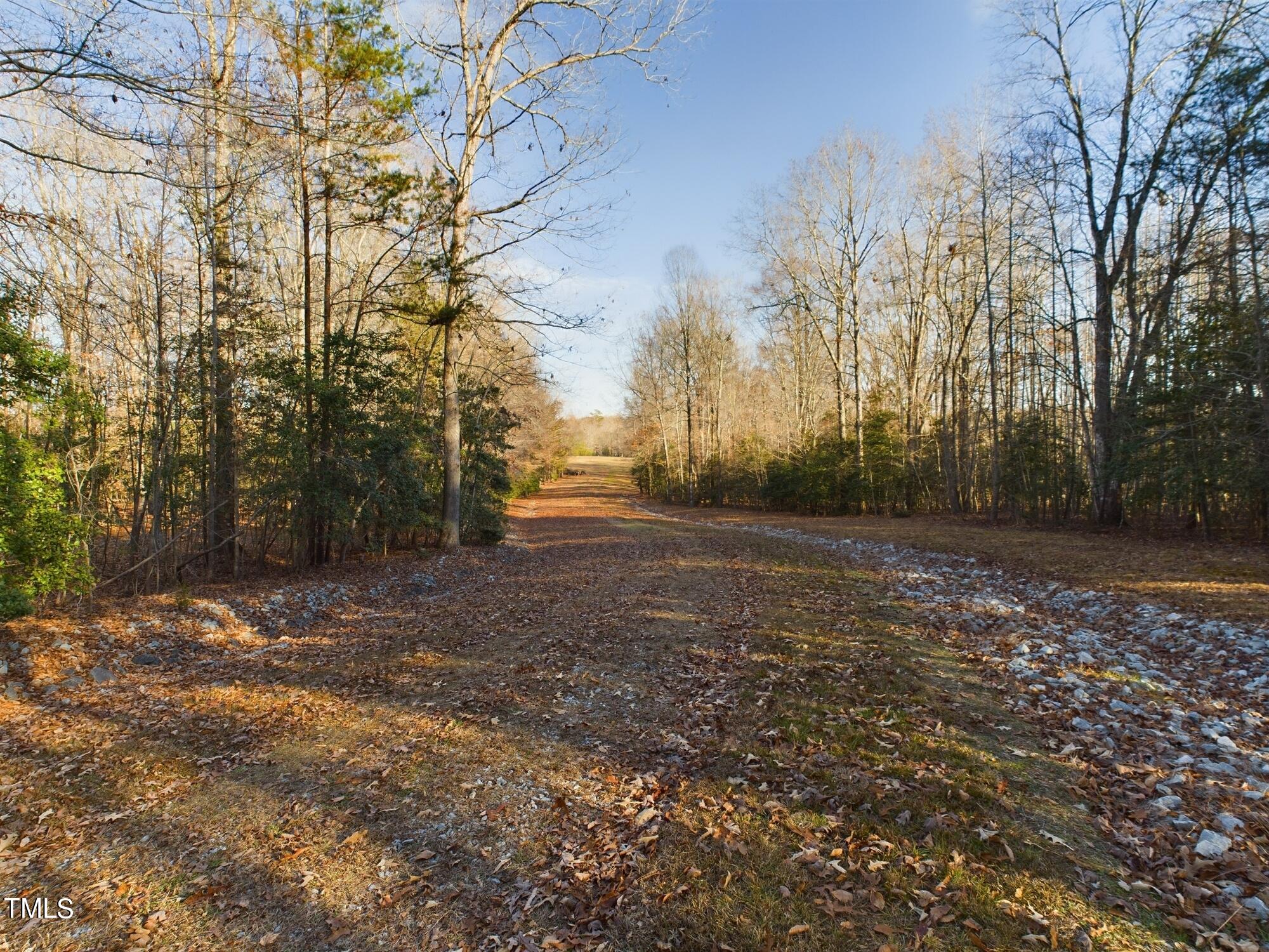 701 Bowen Road Rougemont, NC 27572 - Photo 21 of 31 a view of backyard with outdoor space