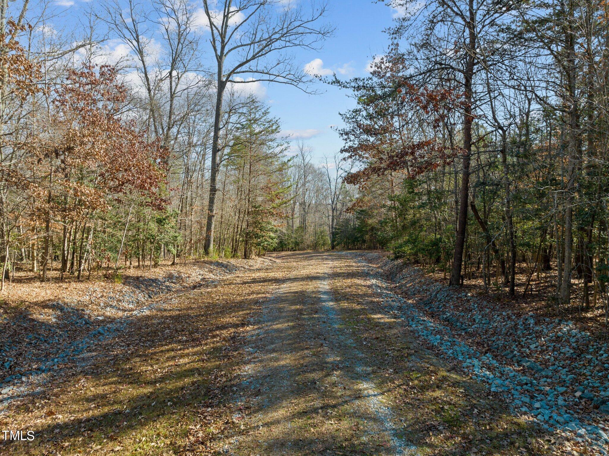 701 Bowen Road Rougemont, NC 27572 - Photo 3 of 31 a view of a yard with trees