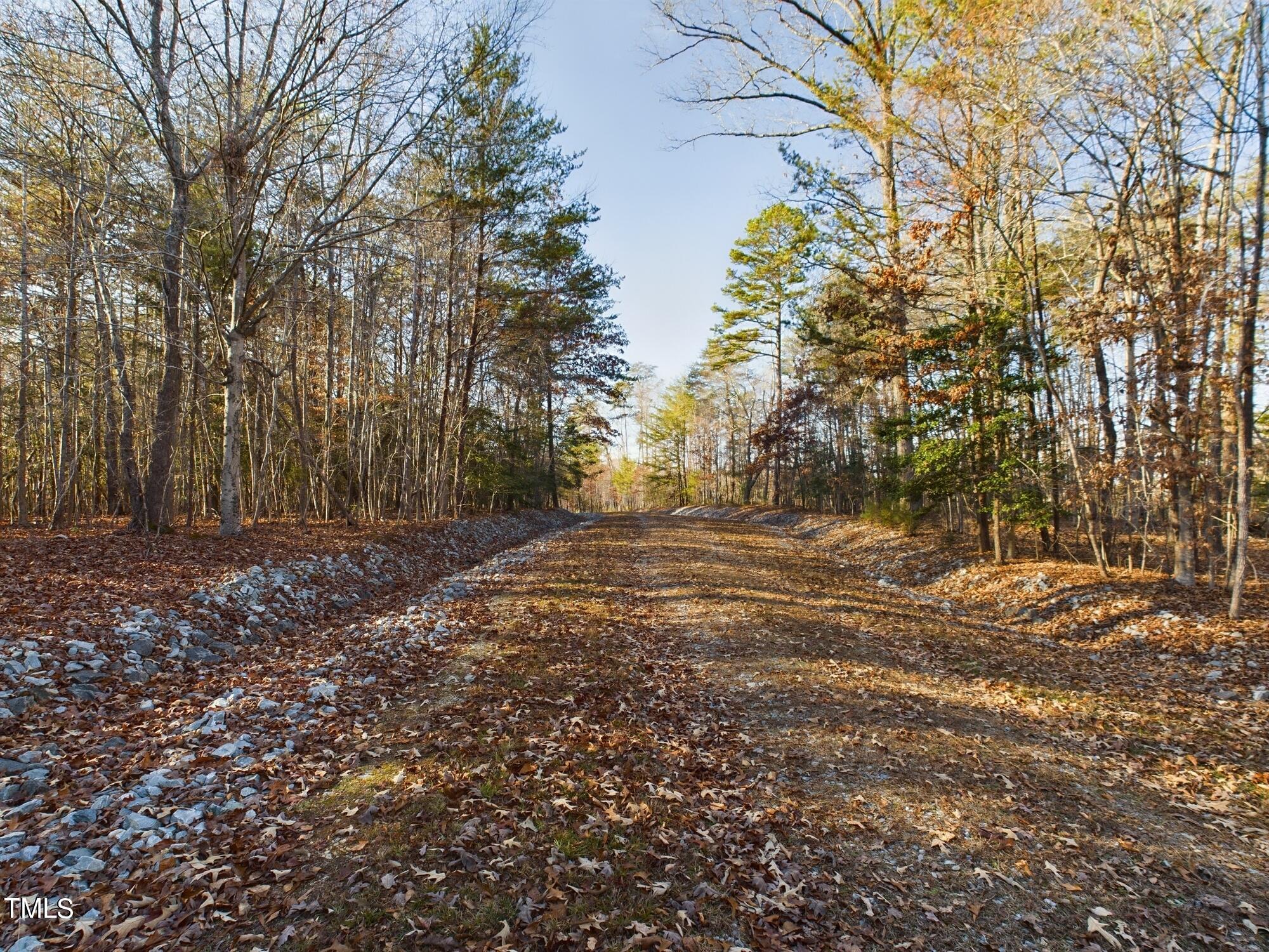 701 Bowen Road Rougemont, NC 27572 - Photo 5 of 31 a view of dirt yard with a large tree