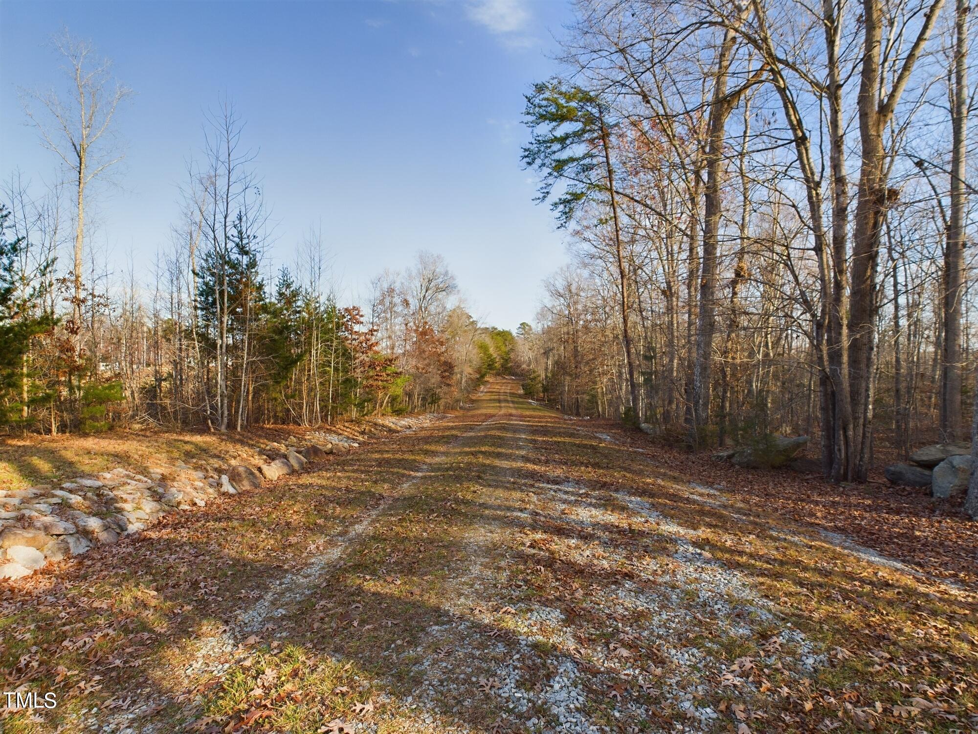 701 Bowen Road Rougemont, NC 27572 - Photo 6 of 31 a view of a yard with trees in the background