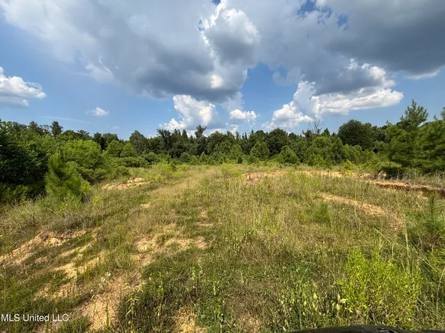 $695,000 | West County Line Road, Jackson, MS 39209