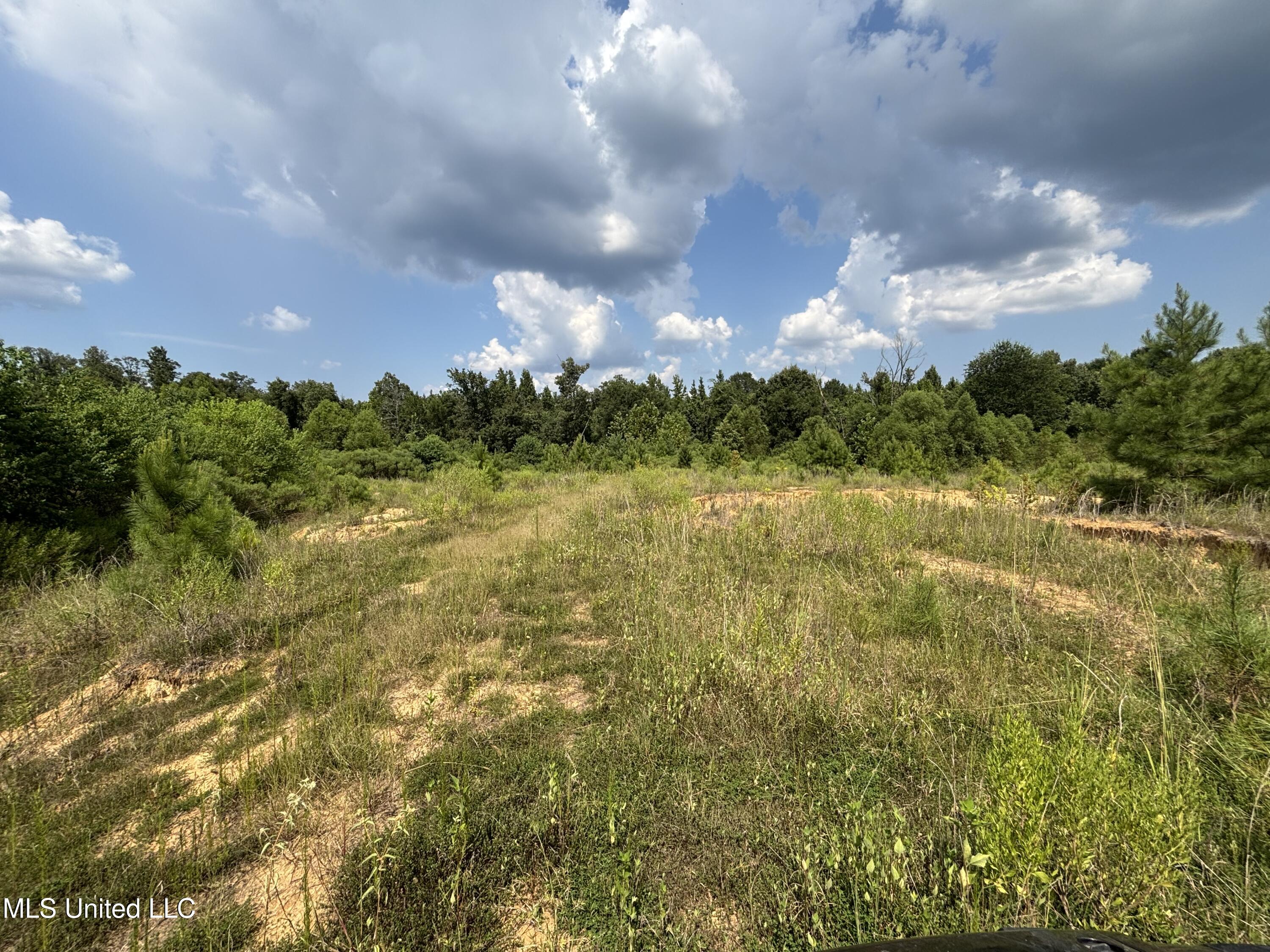 West County Line Road Jackson, MS 39209 - Photo 11 of 43 IMG_0592