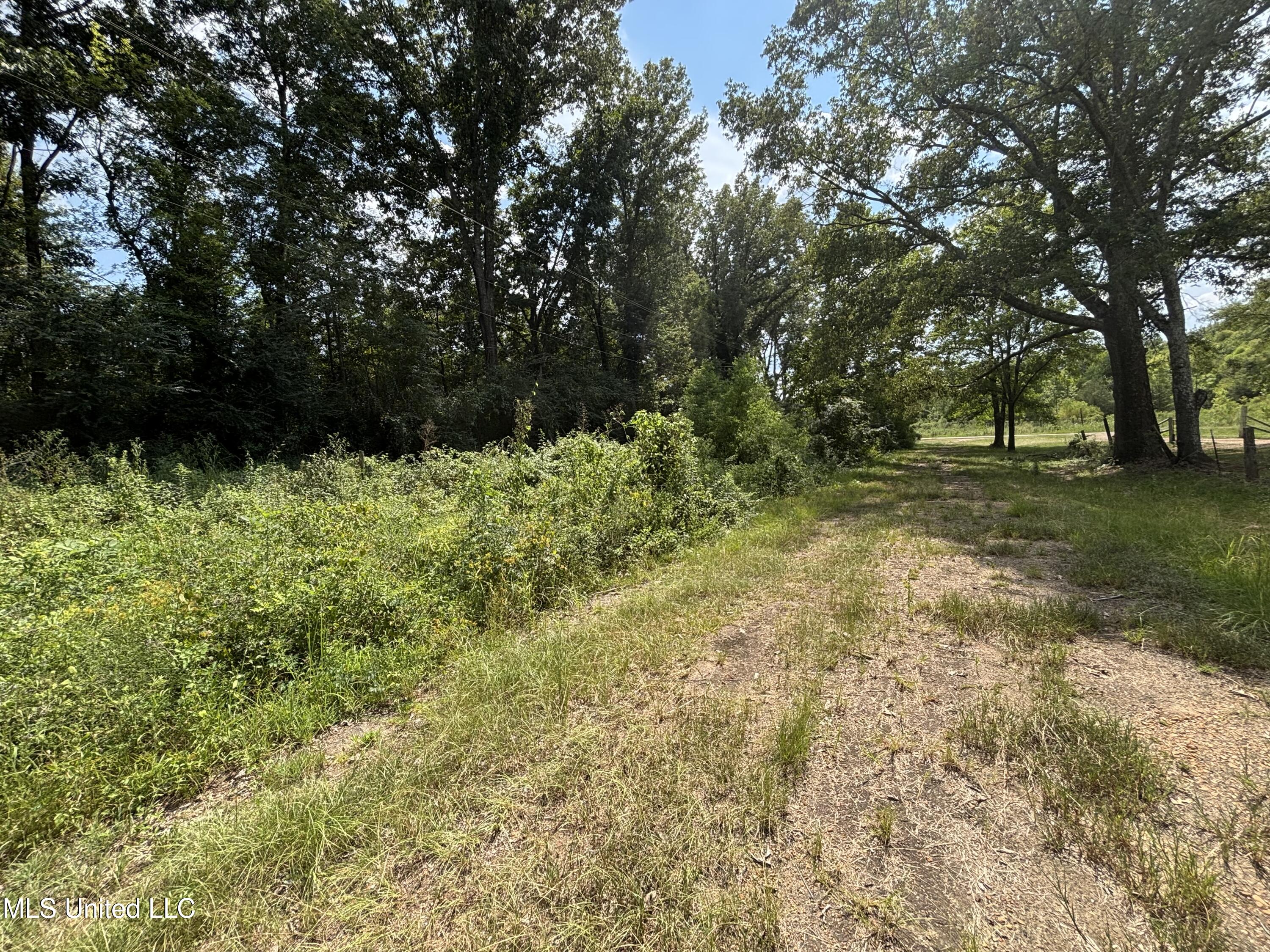 West County Line Road Jackson, MS 39209 - Photo 18 of 43 IMG_0596