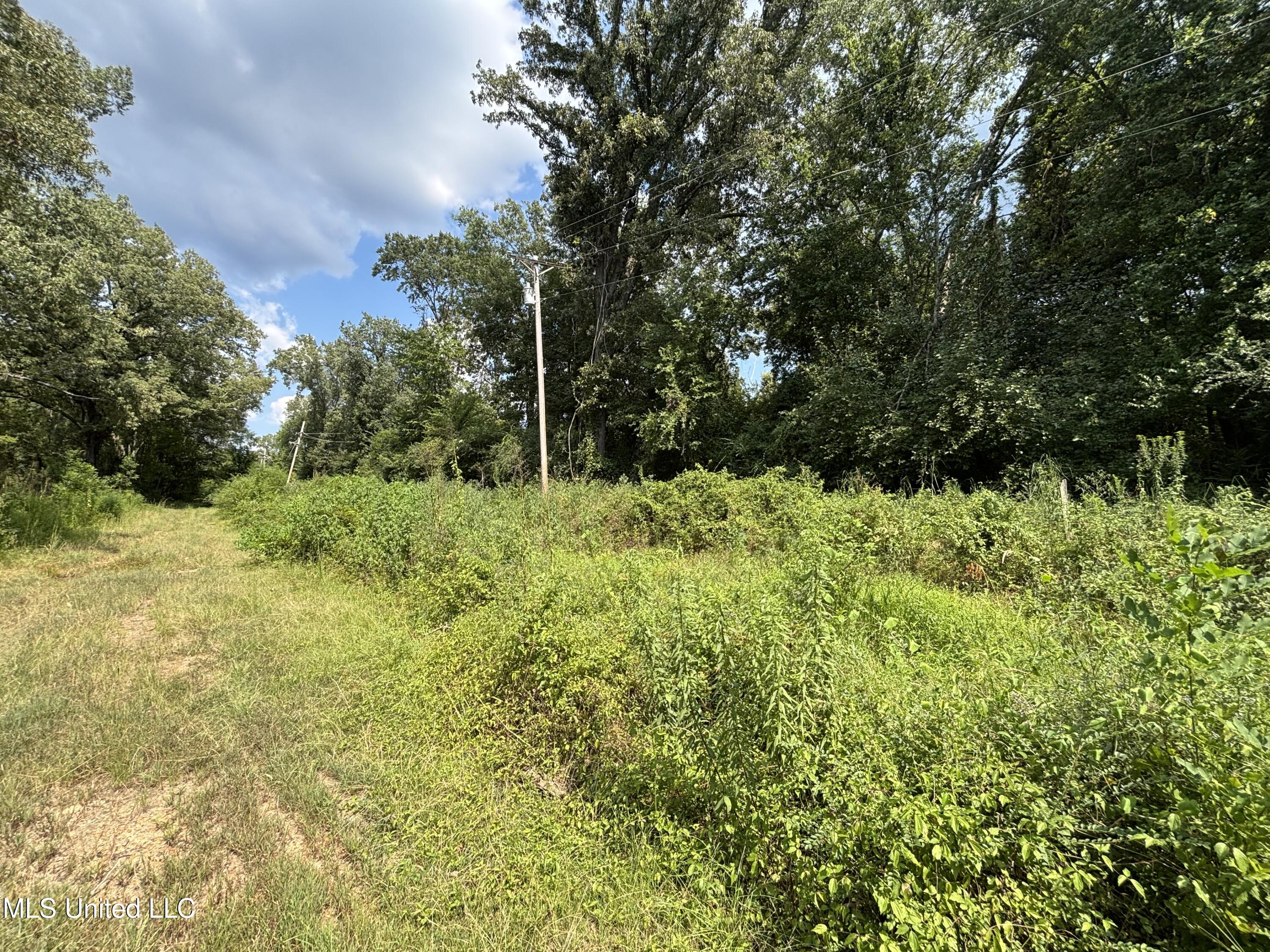 West County Line Road Jackson, MS 39209 - Photo 21 of 43 IMG_0595