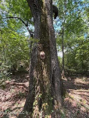 $695,000 | West County Line Road, Jackson, MS 39209