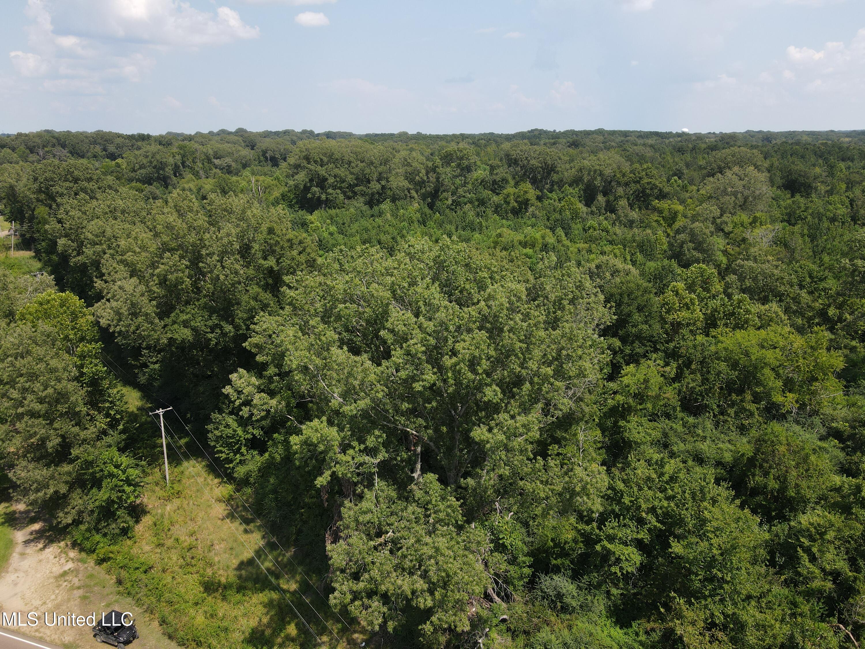 West County Line Road Jackson, MS 39209 - Photo 42 of 43 DJI_0066