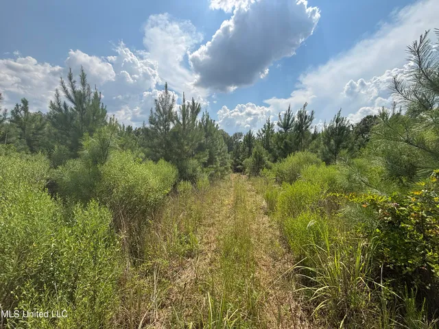 $695,000 | West County Line Road, Jackson, MS 39209