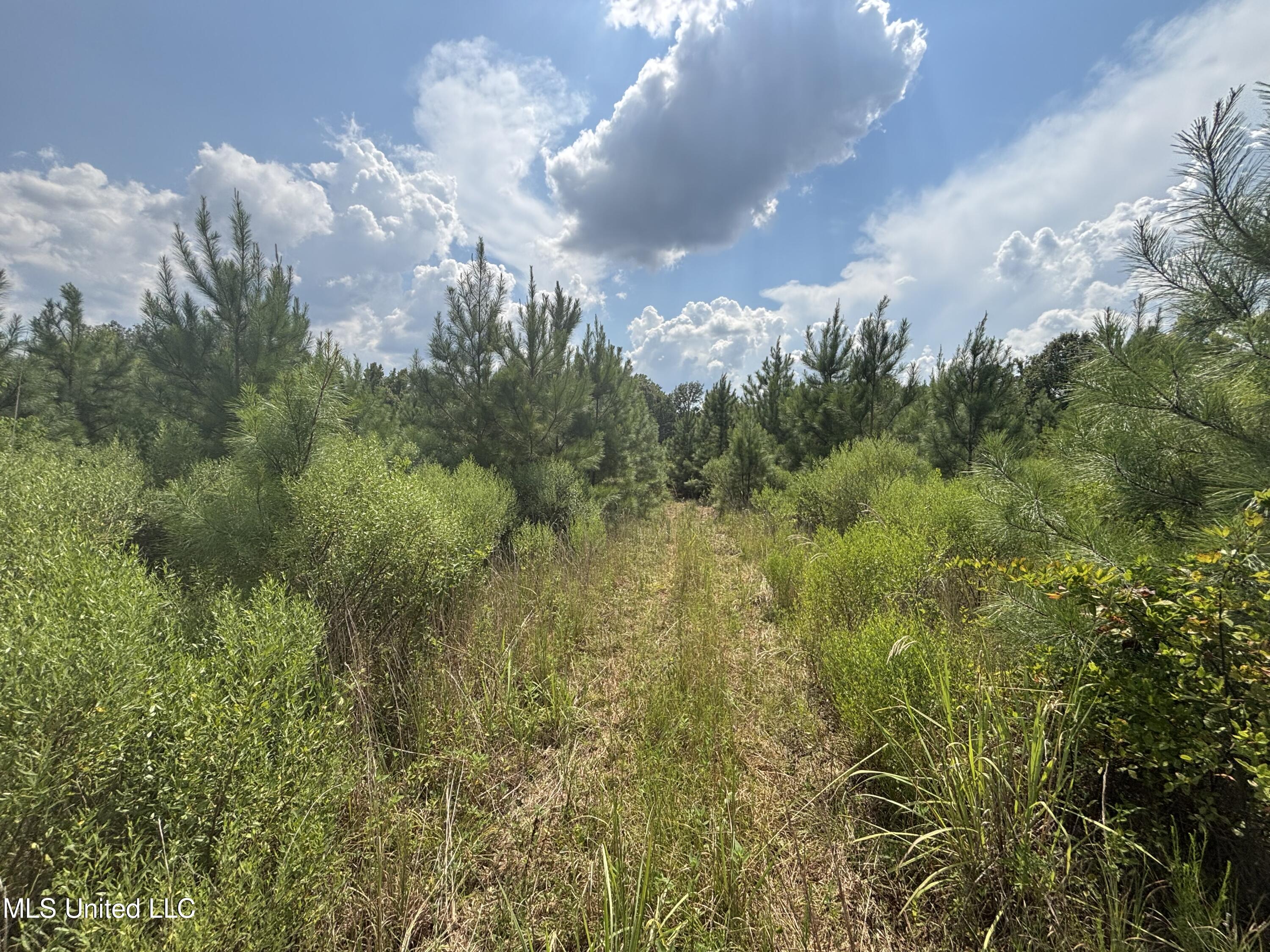 West County Line Road Jackson, MS 39209 - Photo 8 of 43 IMG_0588