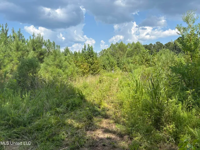 $695,000 | West County Line Road, Jackson, MS 39209