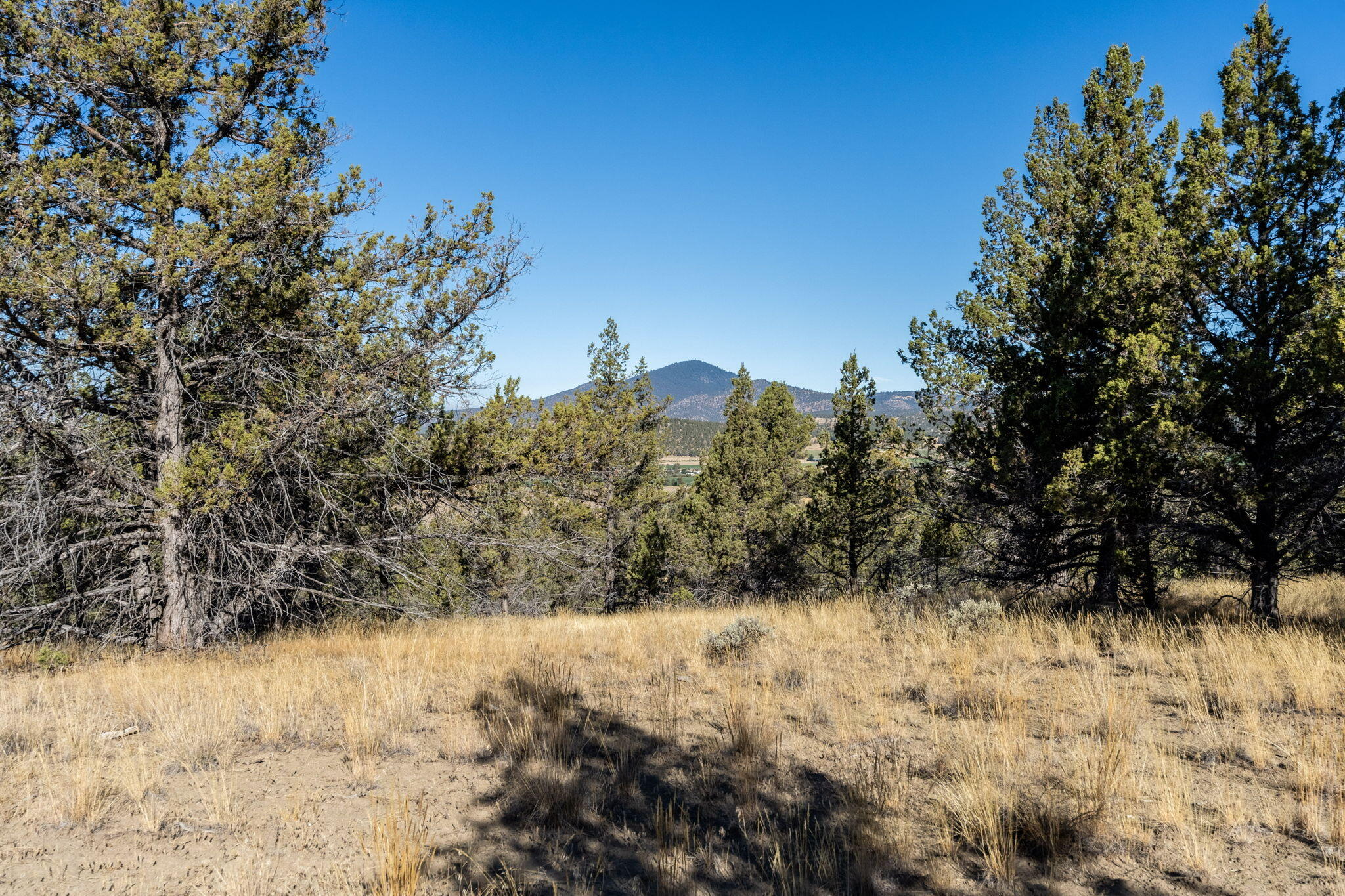 5598 North Mckay Road Prineville, OR 97754 - Photo 77 of 81 IMG_5797