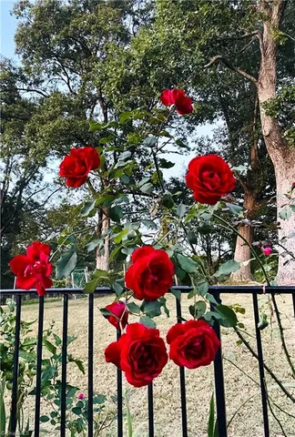 $719,950 | 5402 Effieham Street, Oak Ridge, NC 27310