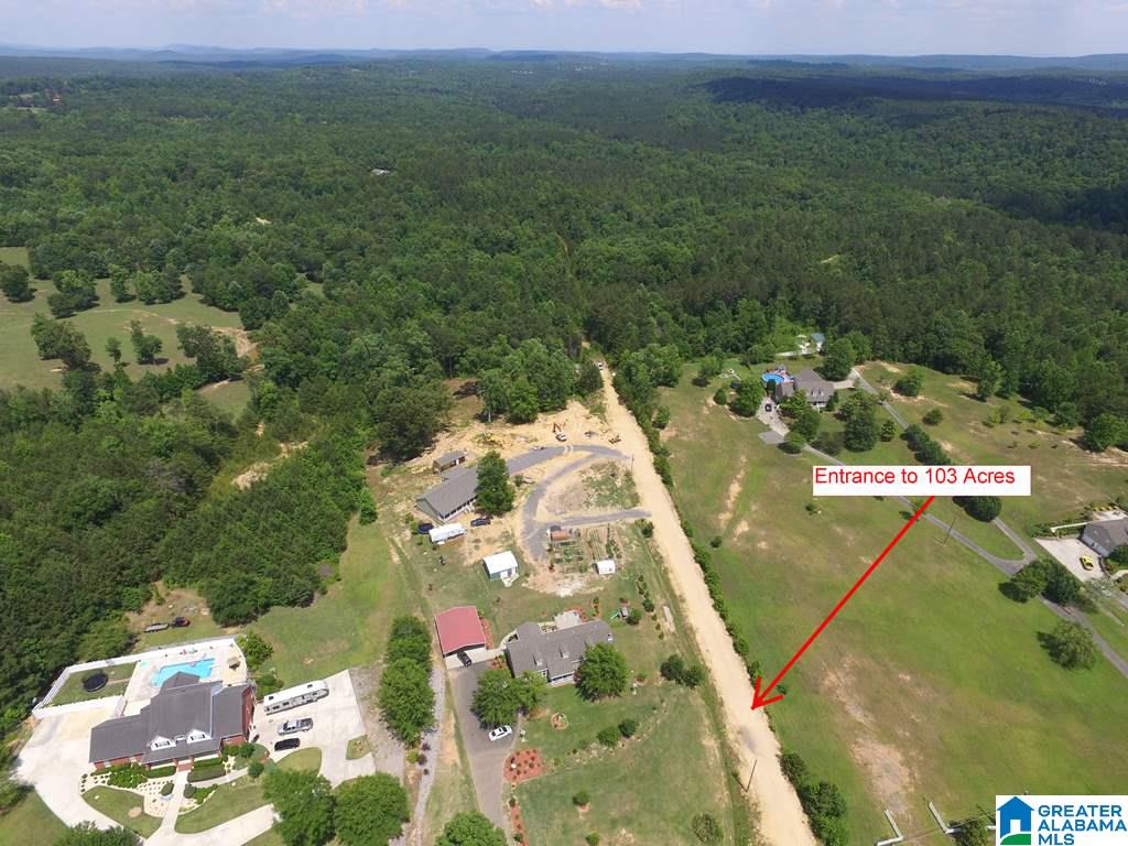 12 County Road, Unit 103 Odenville, AL 35120 - Photo 1 of 8
