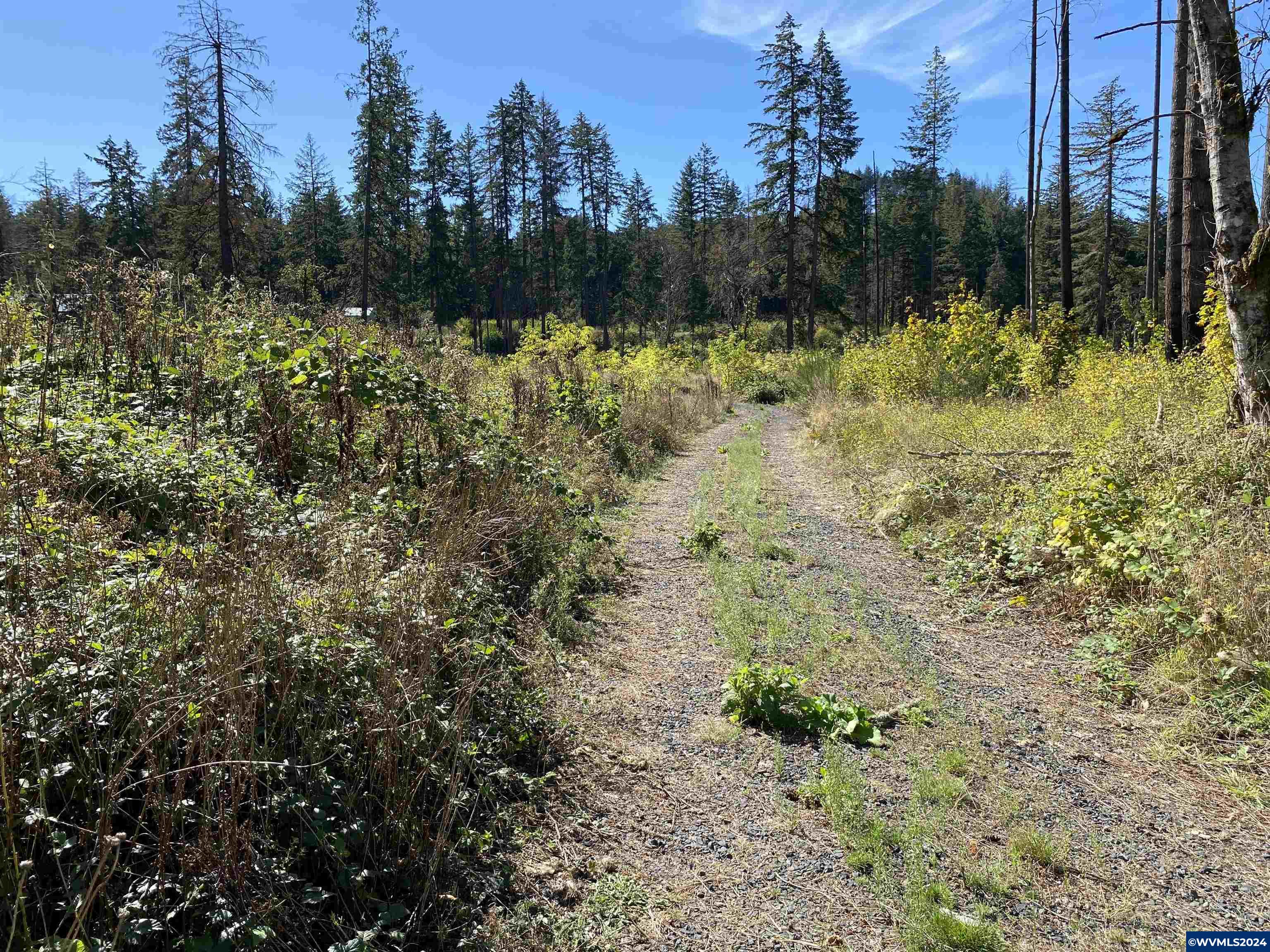 23545 North Fork Road Lyons, OR 97358 - Photo 6 of 16