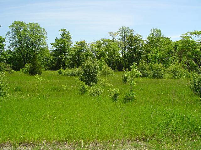 Off Hillcrest Road Sister Bay, WI 54234 - Photo 1 of 1