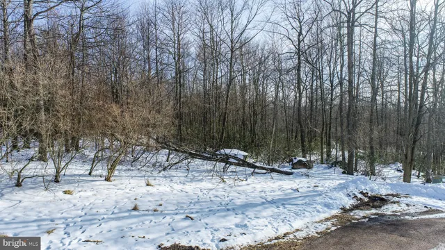 $69,900 | 93 Black Diamond Court, McHenry, MD 21541