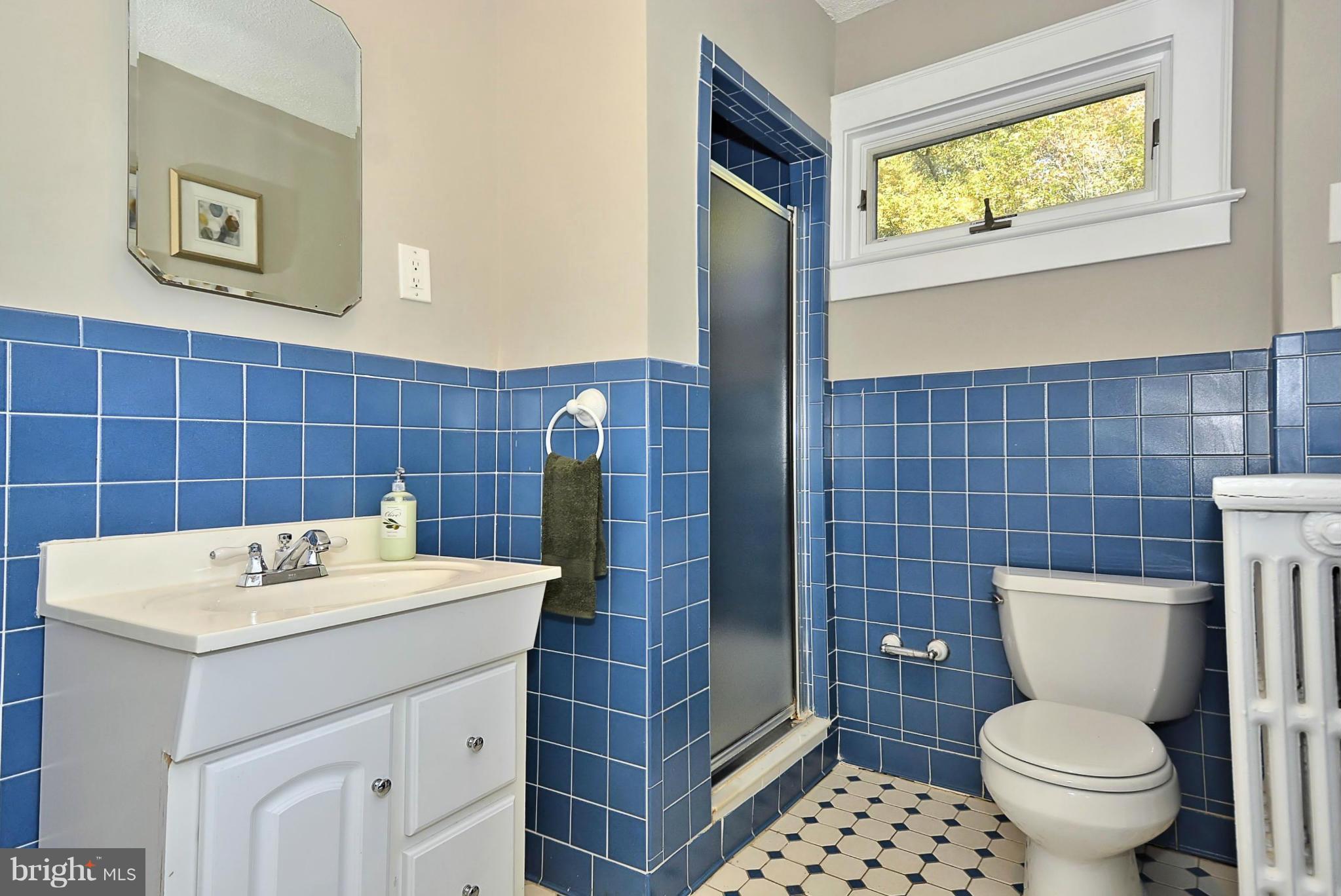 3711 Reno Road Northwest Washington, DC 20008 - Photo 20 of 29 2cnd Level Hall Shower and Soaking Tub