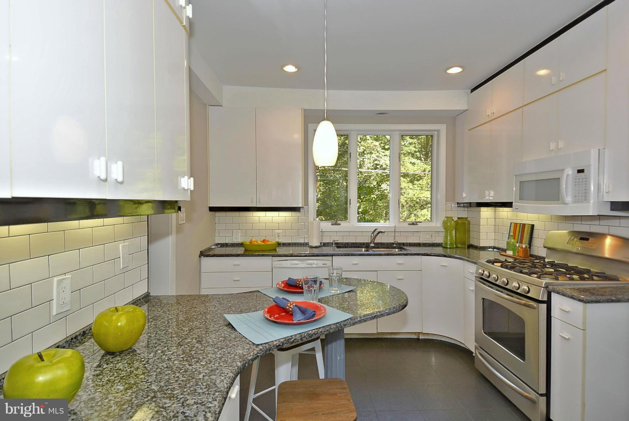 3711 Reno Road Northwest Washington, DC 20008 - Photo 10 of 29 Large Windows, Granite and Stainless