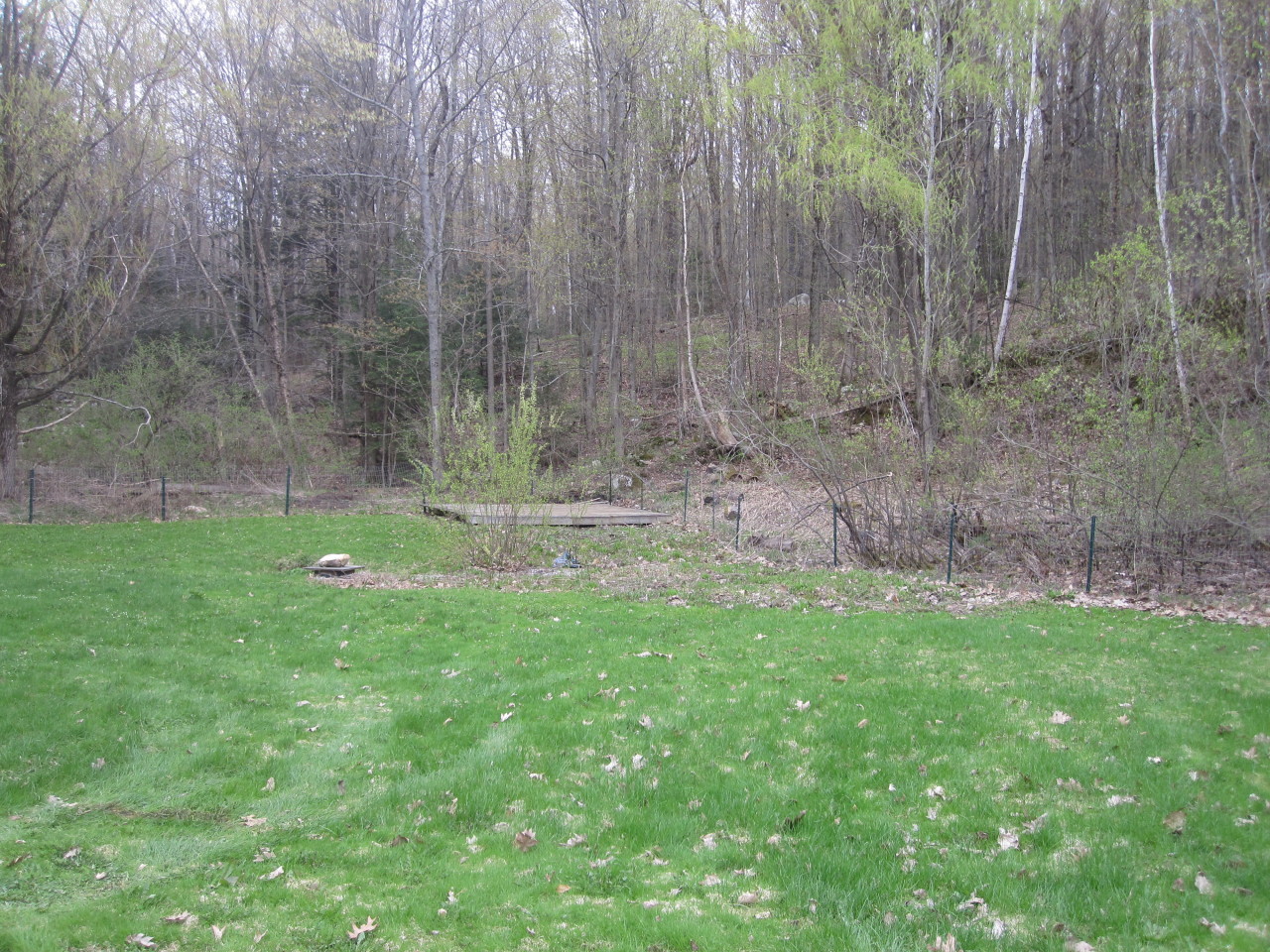 470 Reservoir Road North Adams, MA 01247 - Photo 7 of 8 back yard