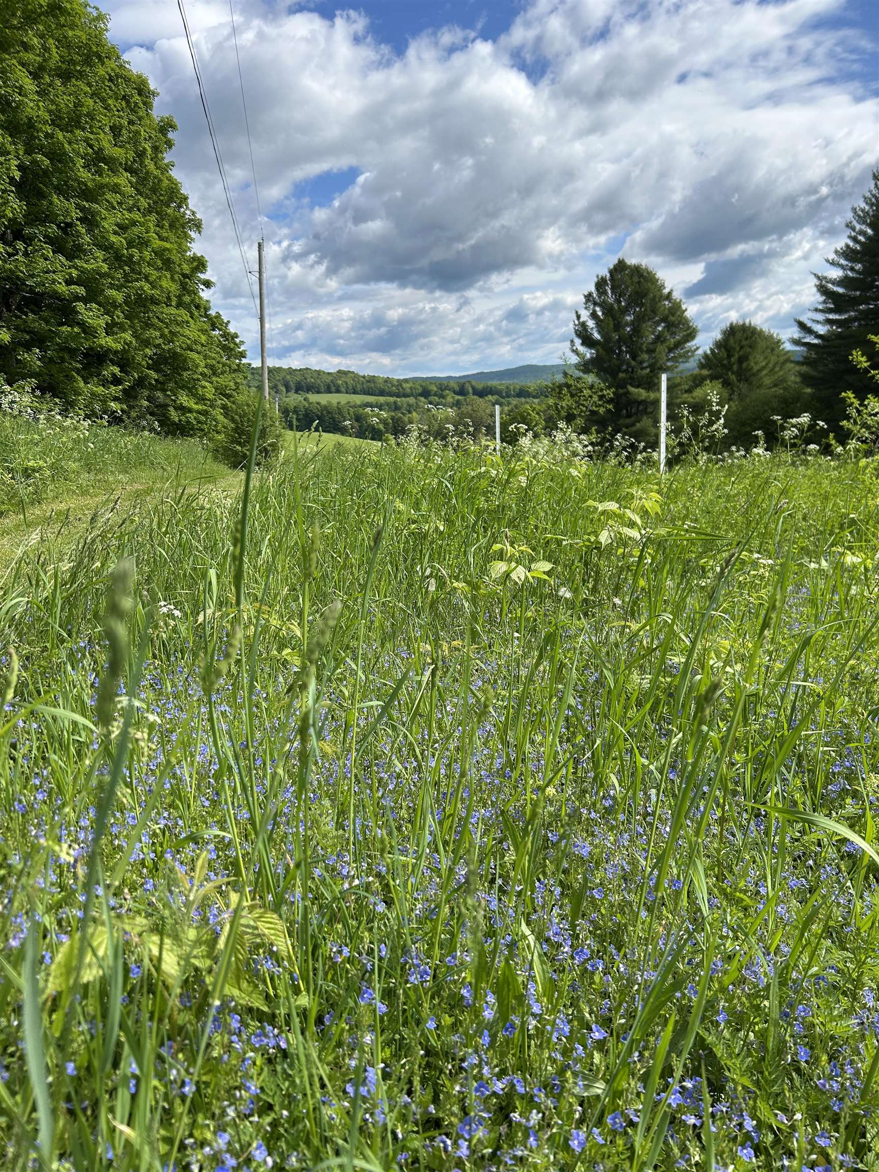 847 Morgan Mile Road Brookfield, VT 05036 - Photo 35 of 40