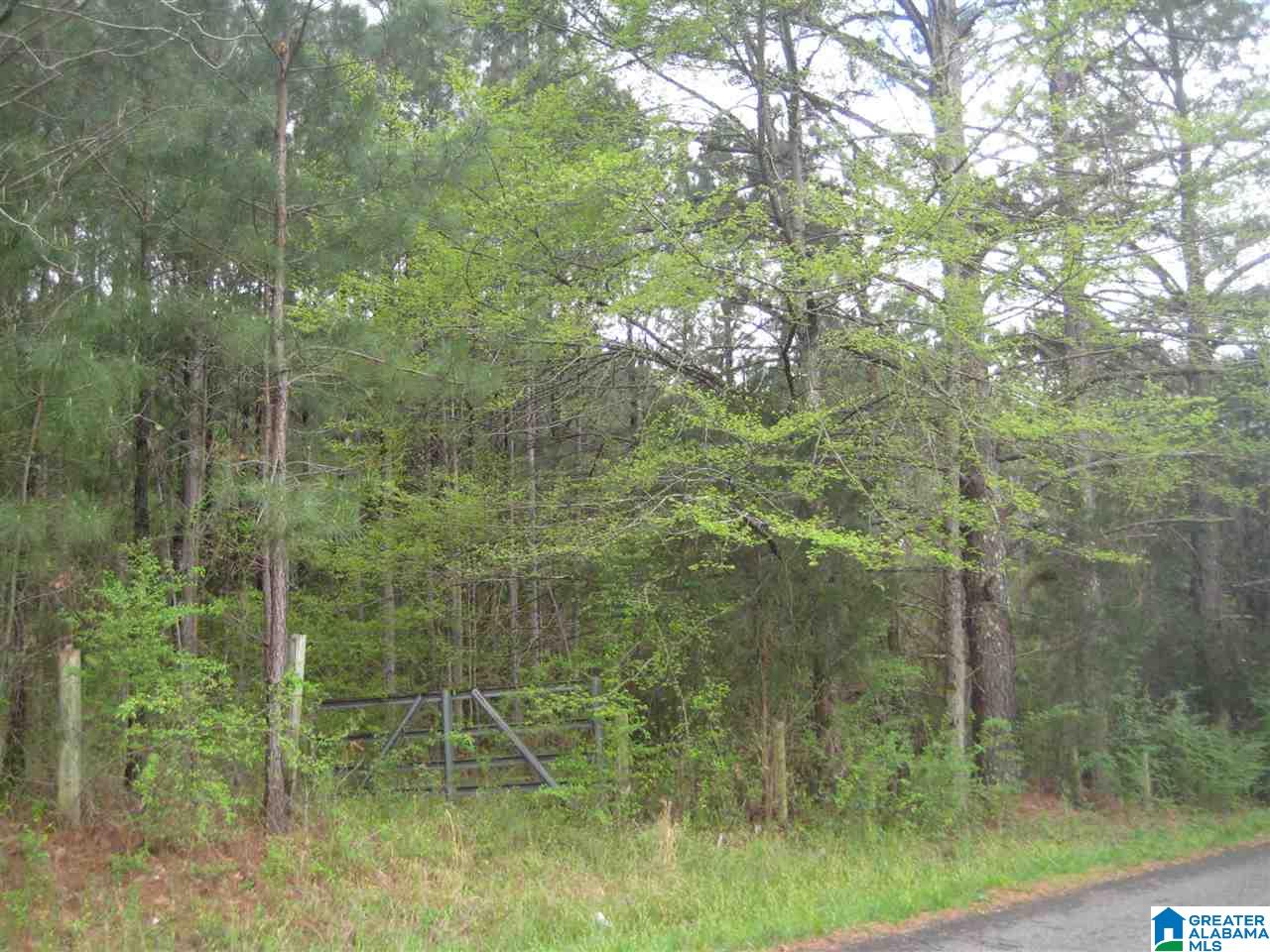 7249 Elliott Lane Southwest, Unit 3 17 Leeds, AL 35094 - Photo 1 of 8