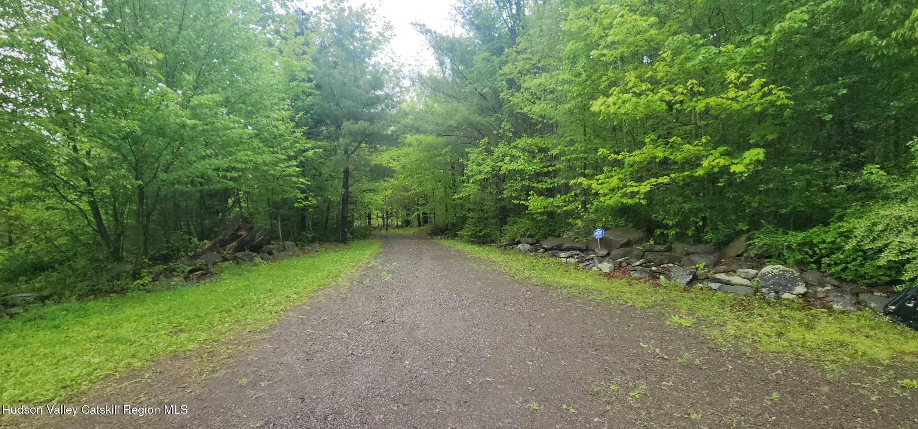 143 Pond View Road Gilboa, NY 12076 - Photo 14 of 18 driveway