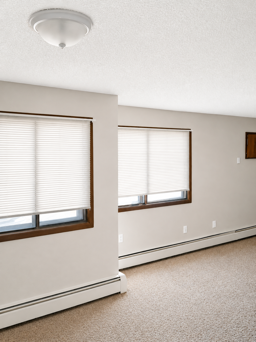 761 South 9th Street, Unit 2 Bird Island, MN 55310 - Photo 2 of 10