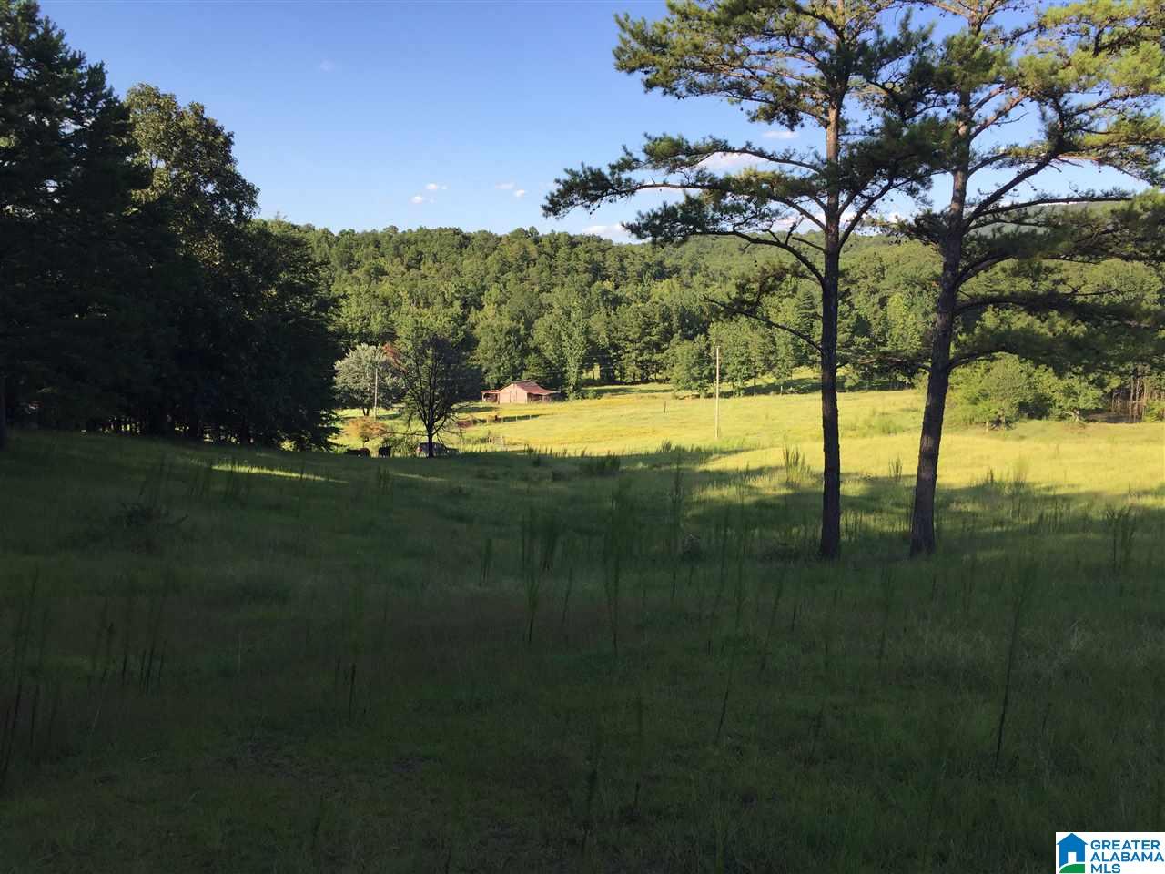 0 Valley Creek Road Piedmont, AL 36272 - Photo 22 of 28