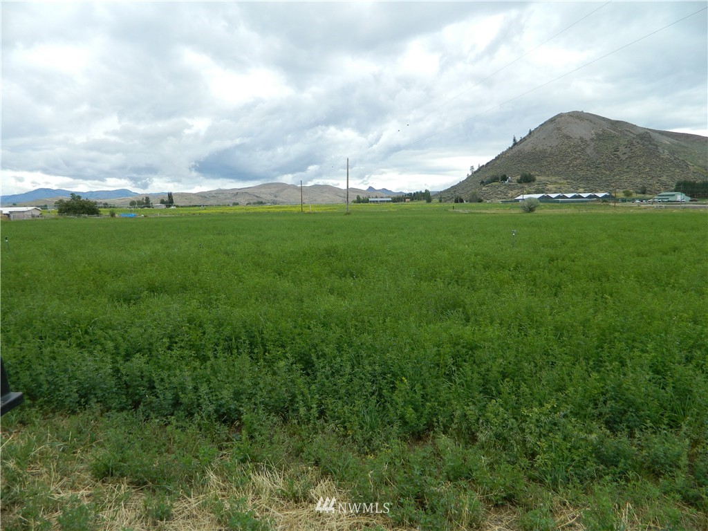 55 Windy Flat Road Tonasket, WA 98855 - Photo 10 of 11 Gallery Image 10