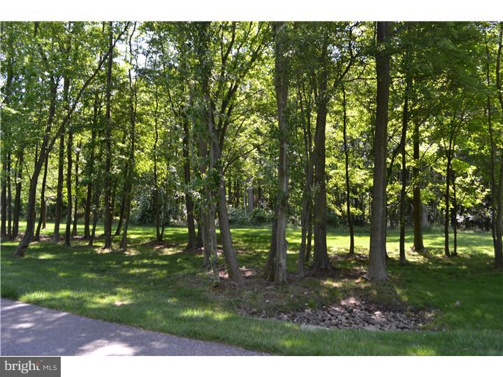 212 Hopkins Road Mickleton, NJ 08056 - Photo 24 of 25 Common Area
