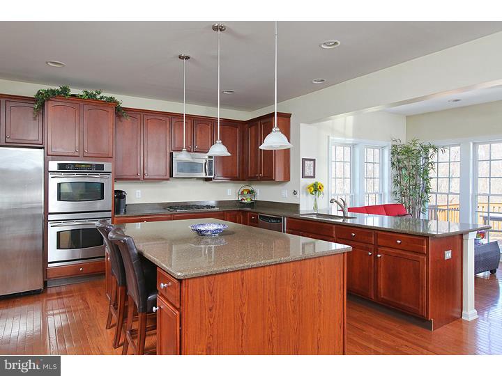 212 Hopkins Road Mickleton, NJ 08056 - Photo 6 of 25 Kitchen