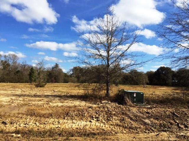 61039 Wayne Stevens Road Amite, LA 70422 - Photo 1 of 9
