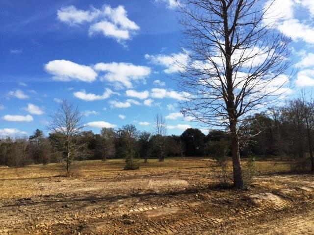 61039 Wayne Stevens Road Amite, LA 70422 - Photo 8 of 9