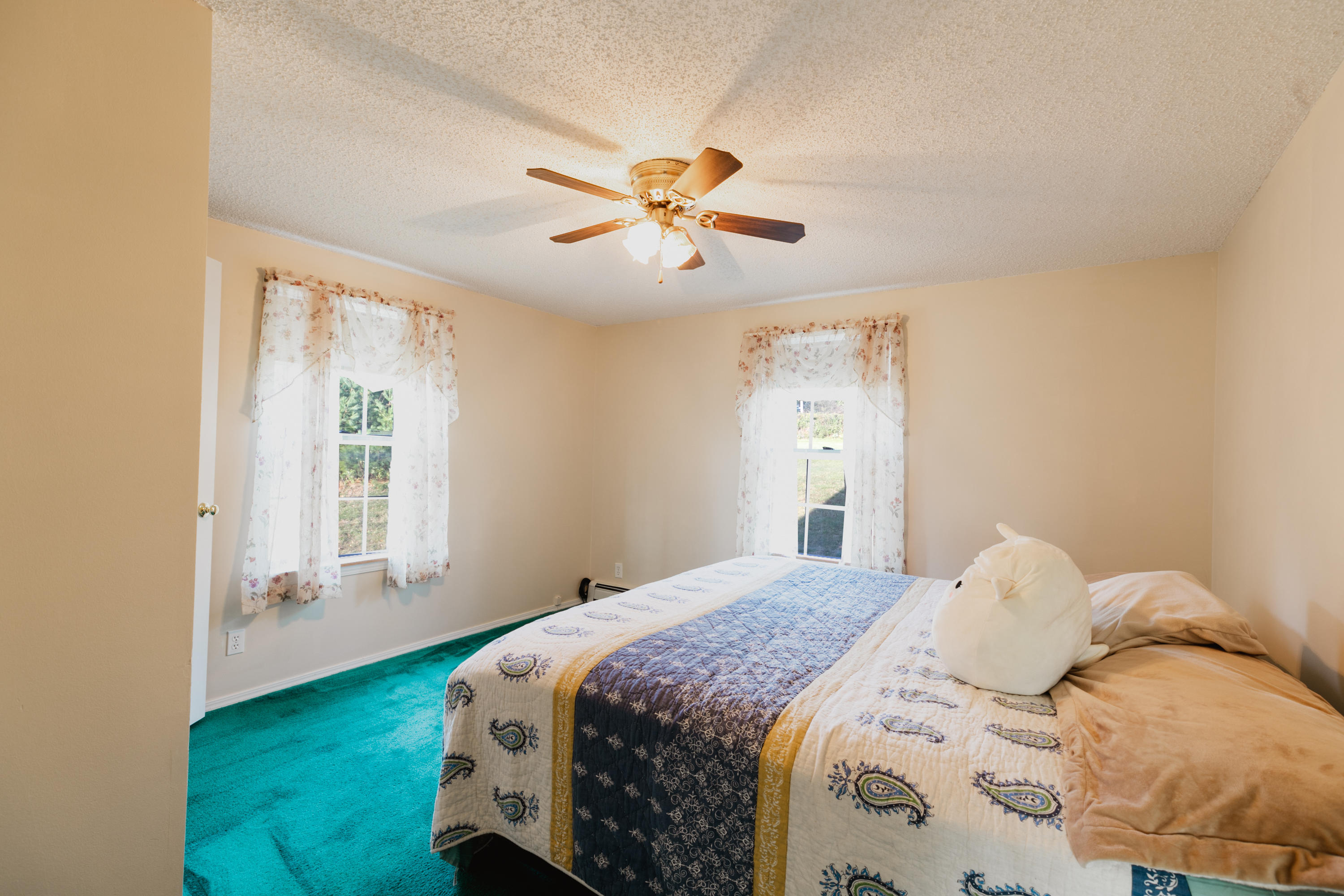 291 Castine Road Orland, ME 04472 - Photo 19 of 30 _MG_9258-Edit