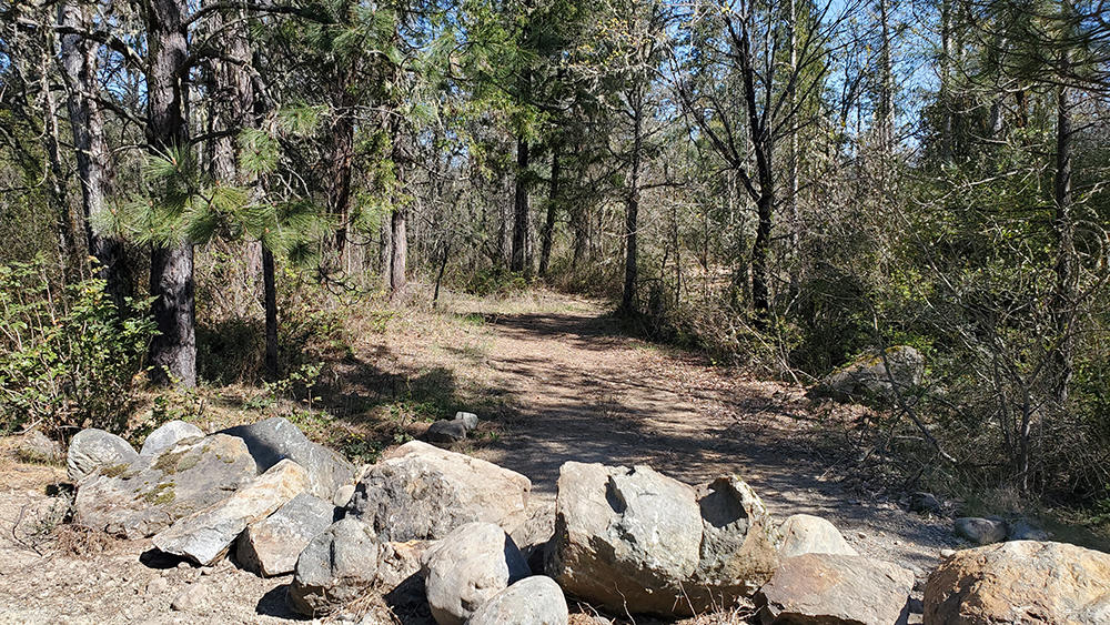 4750 Waldo Road Cave Junction, OR 97523 - Photo 12 of 22 11
