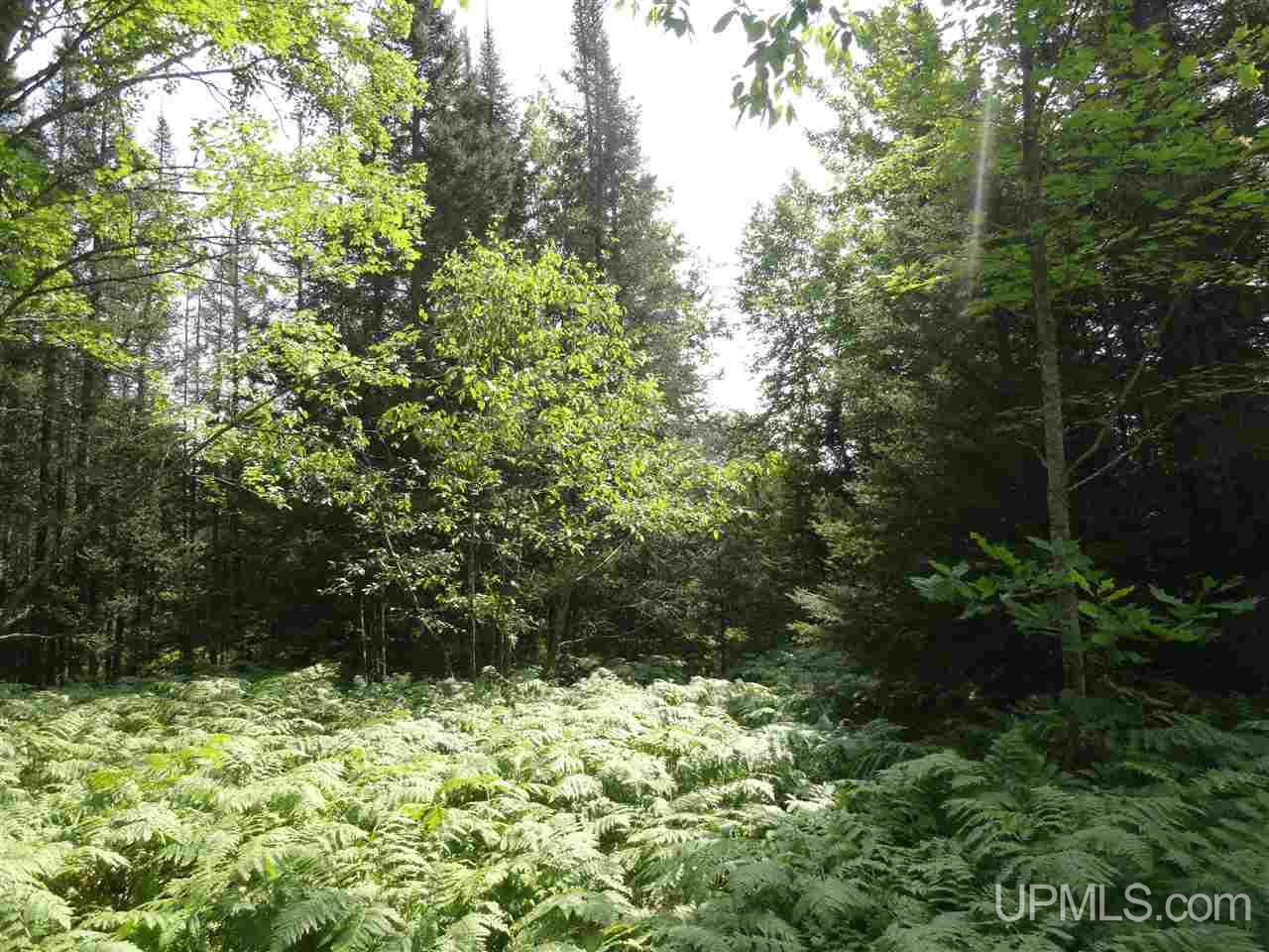 40-acres 40-acres Co Road Ishpeming, MI 49849 - Photo 14 of 36