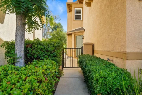 a view of a back yard