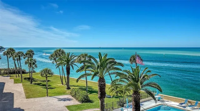 a view of a yard with palm tree