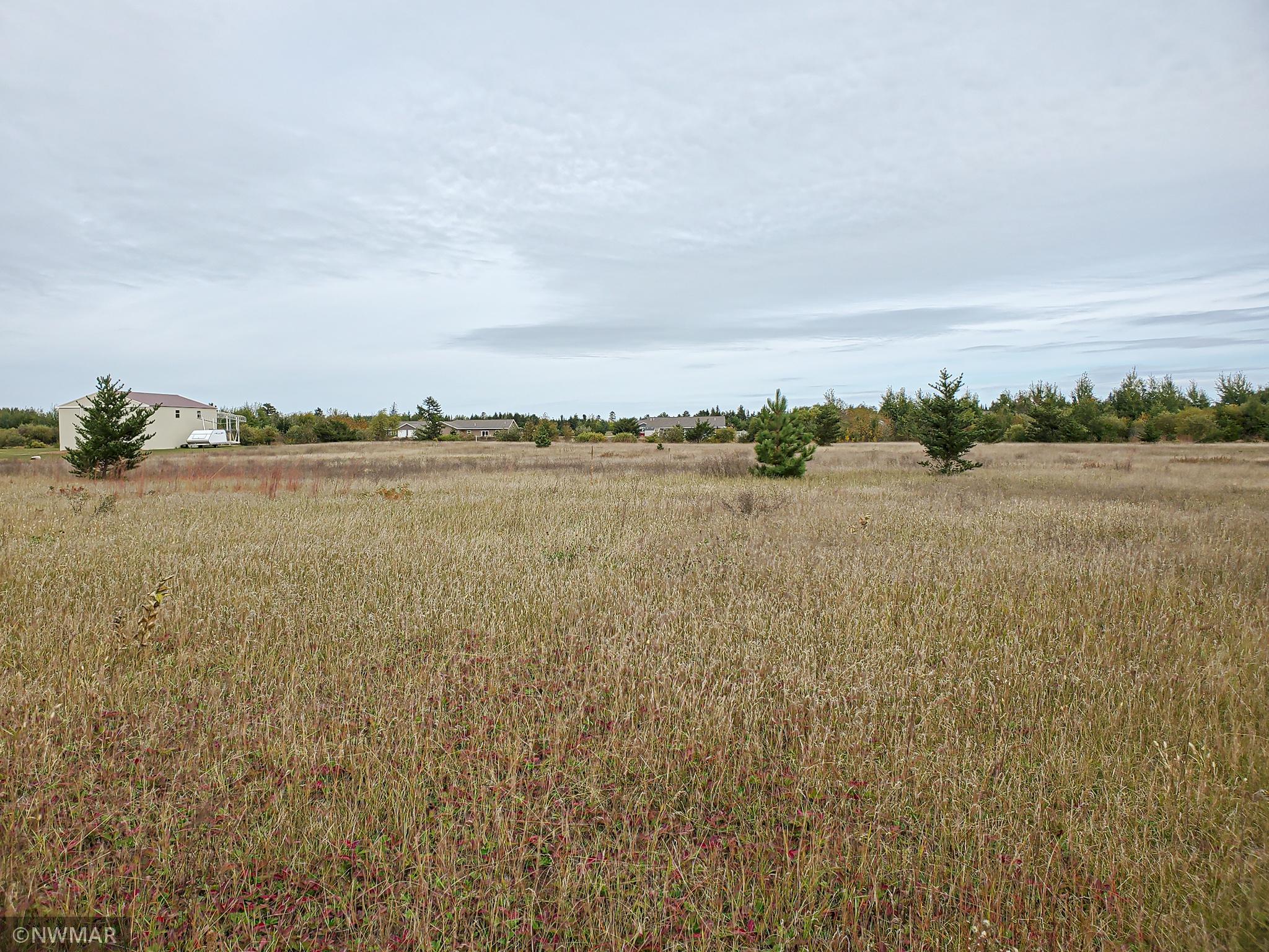Tbd Kestrel Road Northwest Bemidji, MN 56601 - Photo 1 of 1