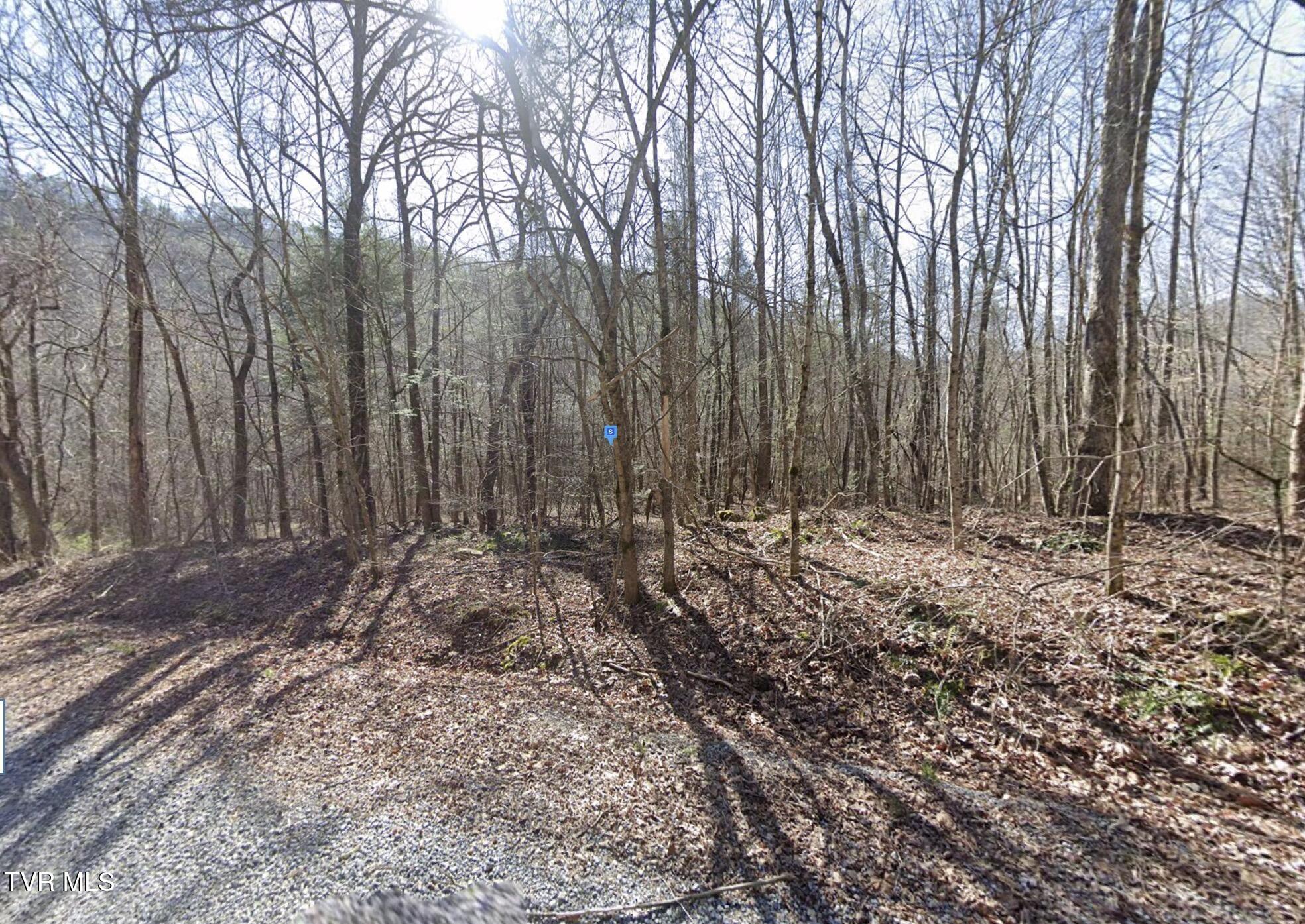 115 Kiowa Way Del Rio, TN 37727 - Photo 2 of 5 2