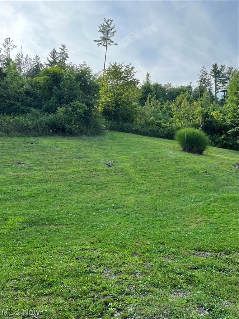 64725 Sundew Road Cambridge, OH 43725 - Photo 11 of 27 View of yard
