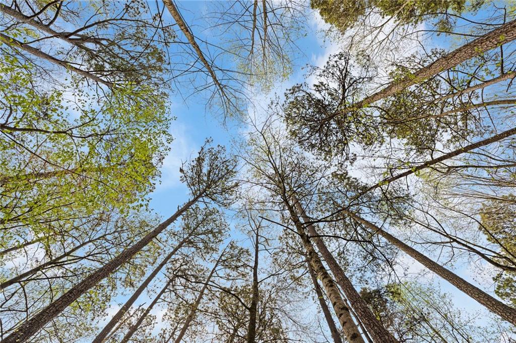 118 Little Ridge Road Northwest Berkeley Lake, GA 30096 - Photo 39 of 43