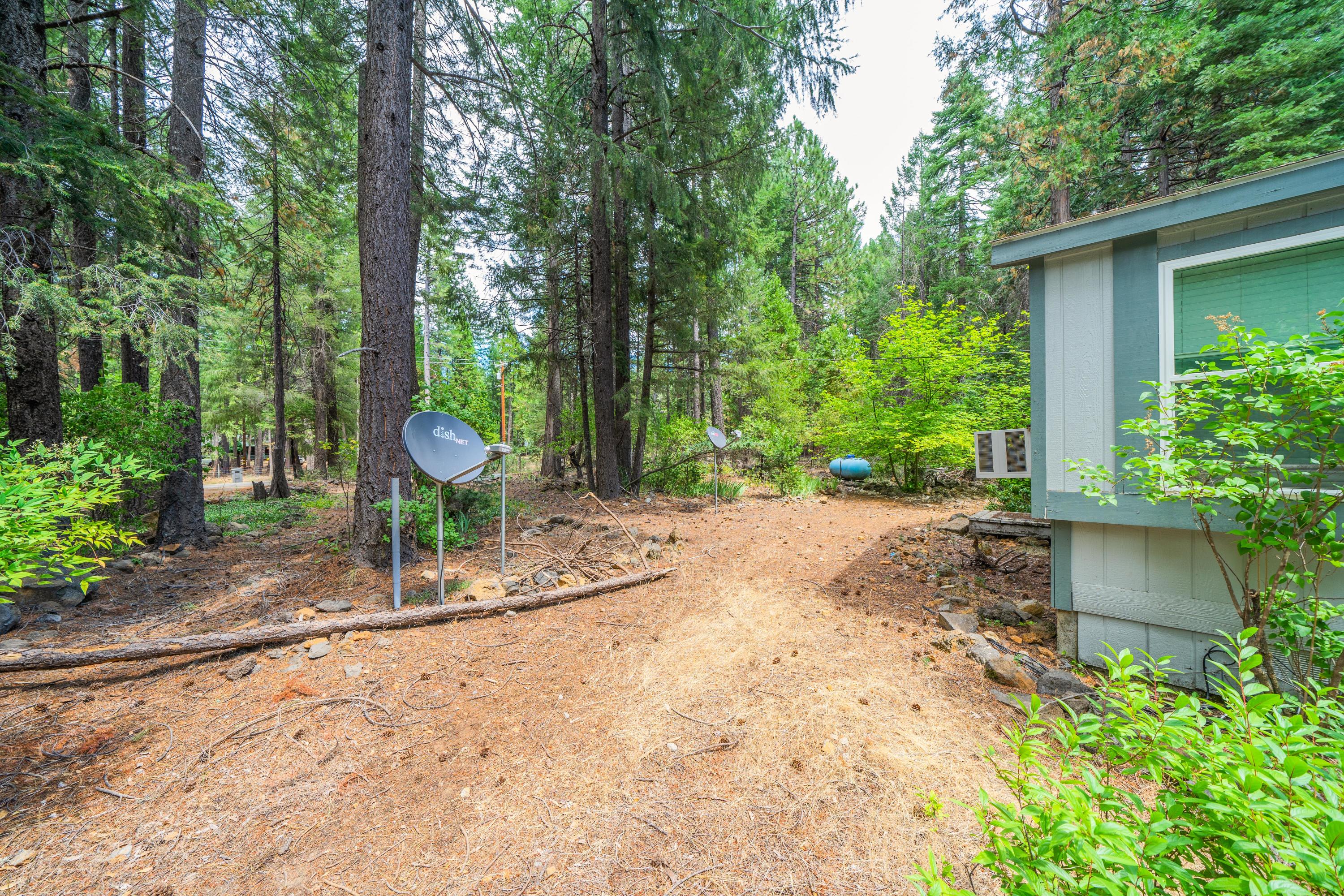 34739 Timber Ridge Road Shingletown, CA 96088 - Photo 23 of 26 a view of a backyard with a trees and plants