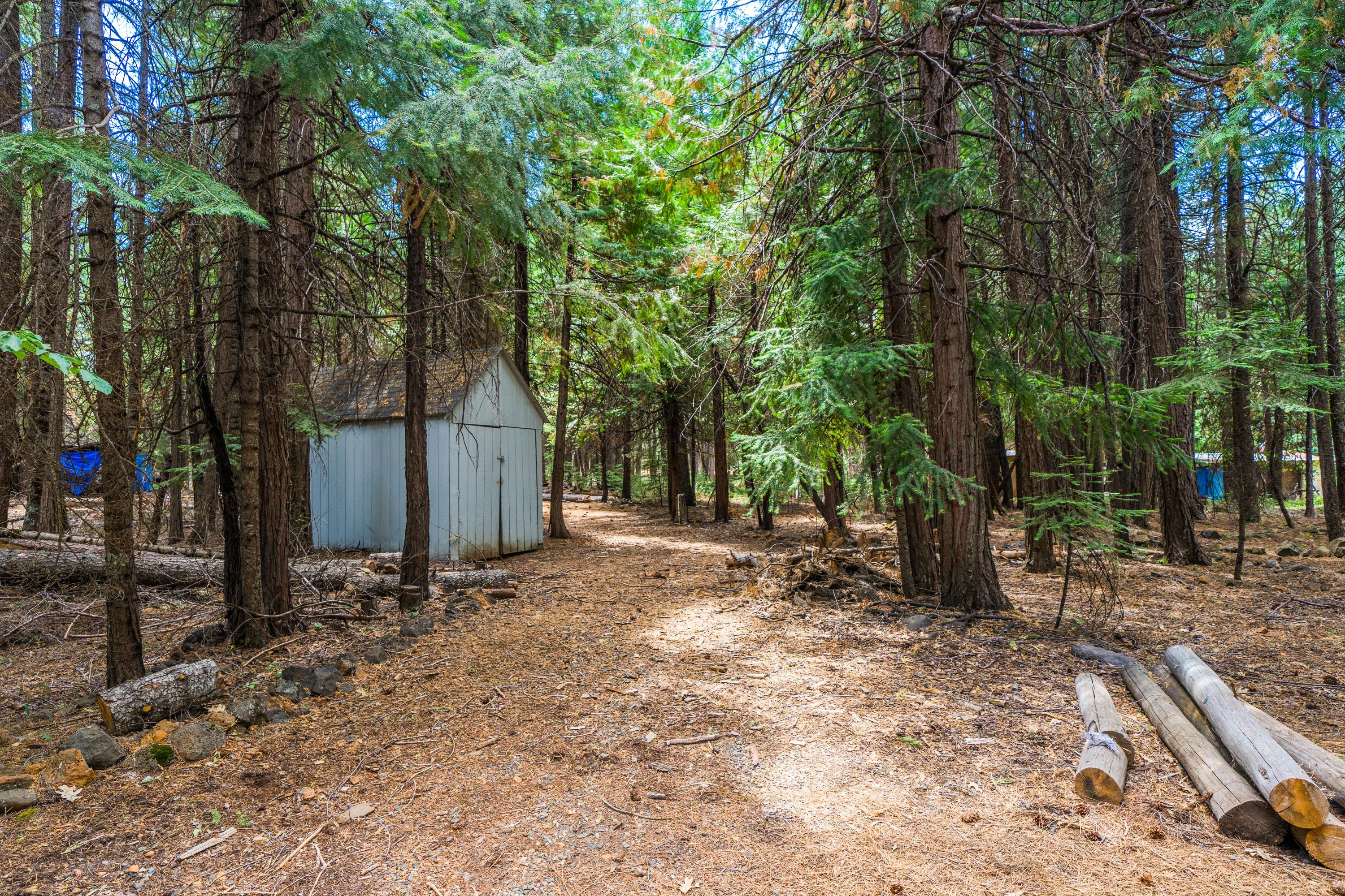 34739 Timber Ridge Road Shingletown, CA 96088 - Photo 24 of 26 a backyard of a house with lots of green space