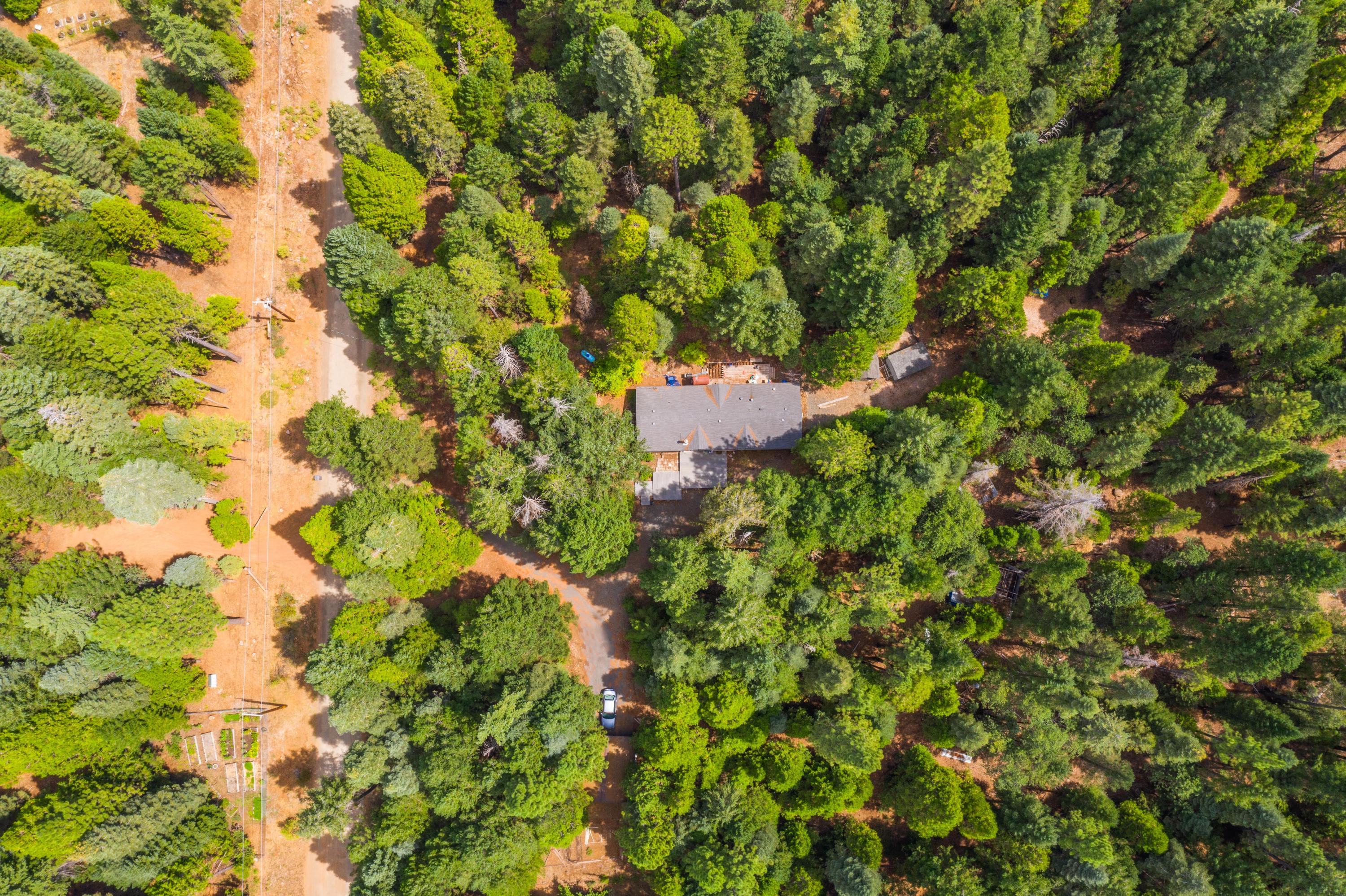 34739 Timber Ridge Road Shingletown, CA 96088 - Photo 25 of 26 a backyard of a house with lots of plants